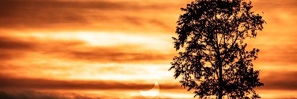 CarlosBez11's profile banner image