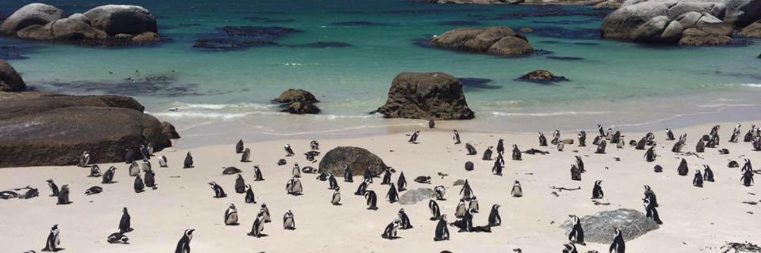 Miles Cheetham banner