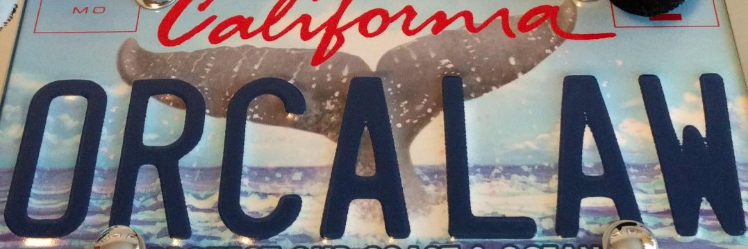 Matthew Spiegl banner