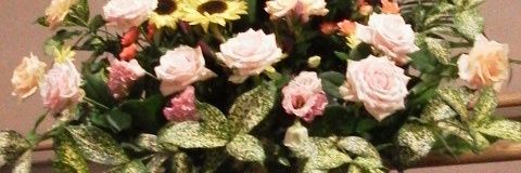 cellolin1223's profile banner image