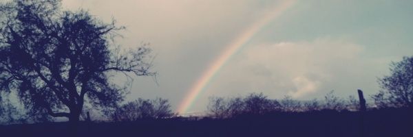 davidsanchezdaz's profile banner image