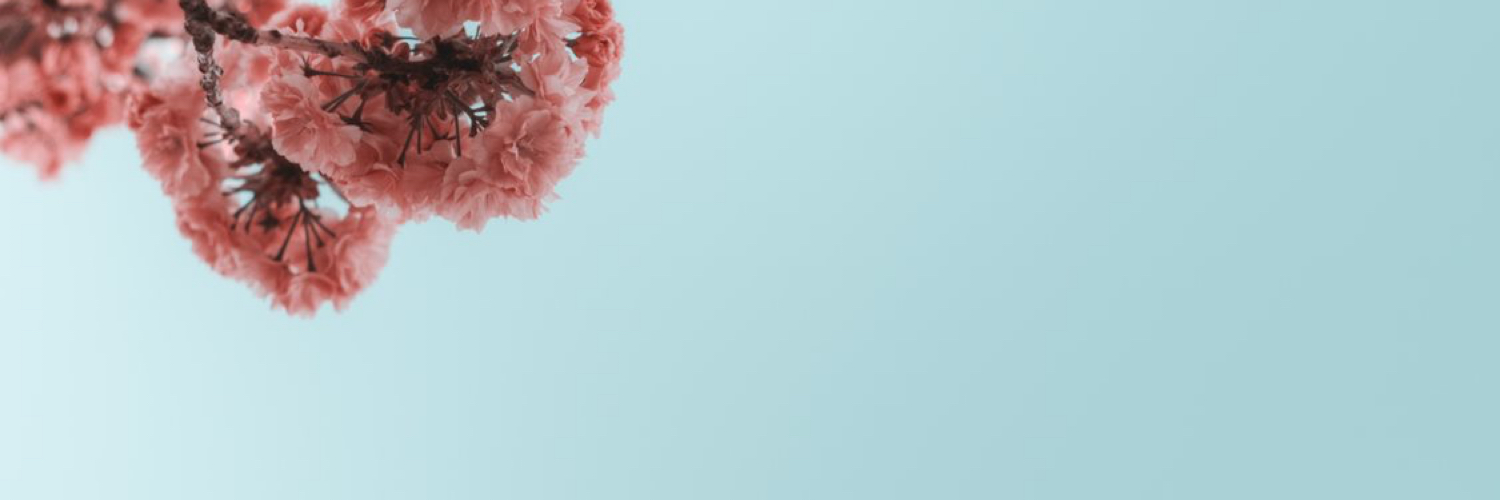 iNrjsiiah's profile banner image