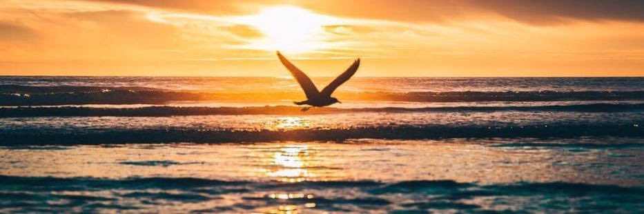 Almozn24476's profile banner image