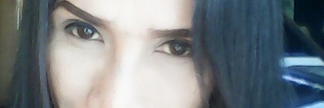 bobocilik's profile banner image