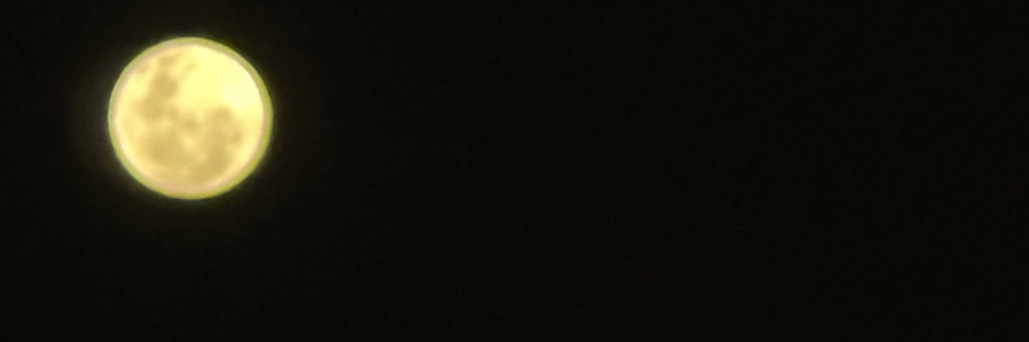 AdalbertoTJr's profile banner image