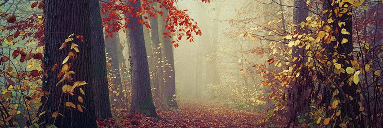 Debiio_ok's profile banner image
