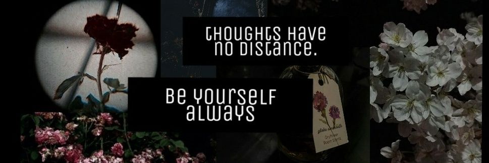 MoonlightYG's profile banner image