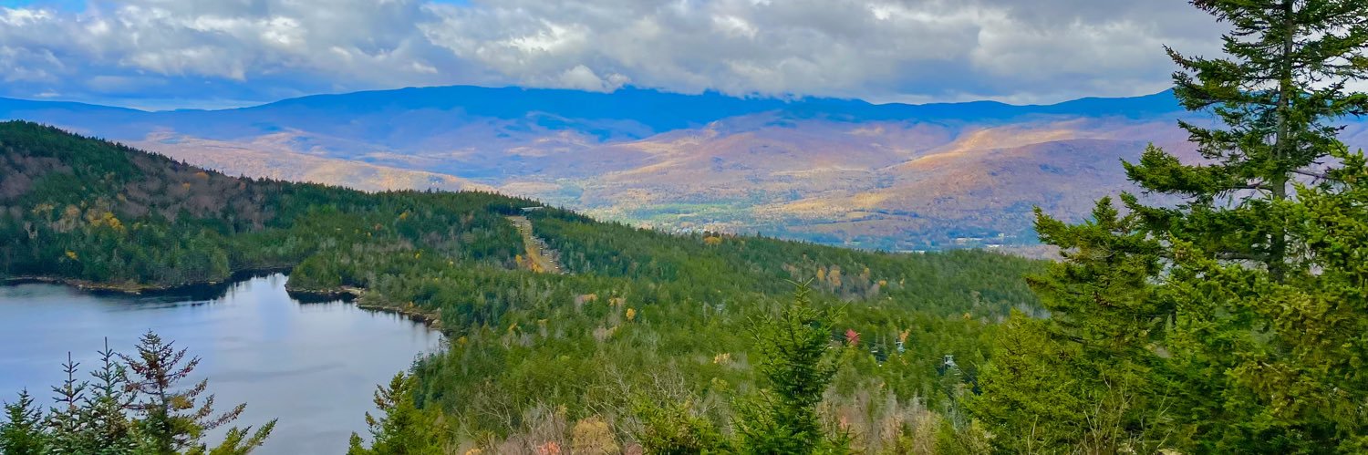 Brandon Nesbitt banner