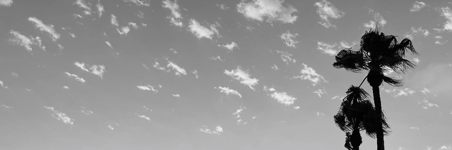 Laura Casanova banner