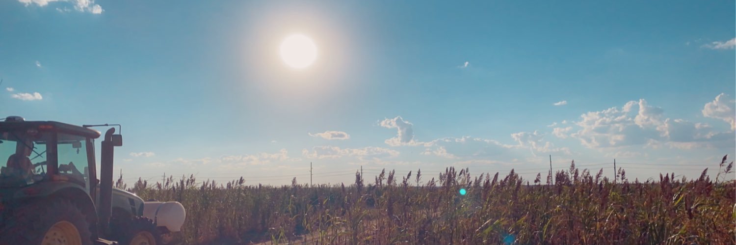 Jassmind17's profile banner image