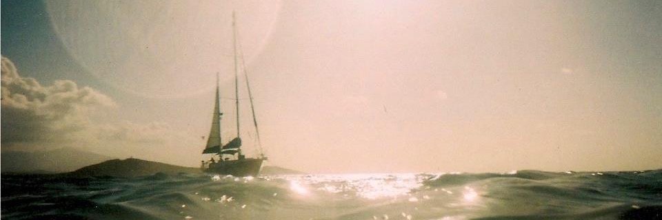 MelinaBricker's profile banner image