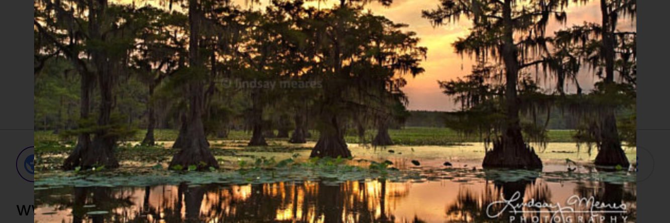 KJonFontenot's profile banner image