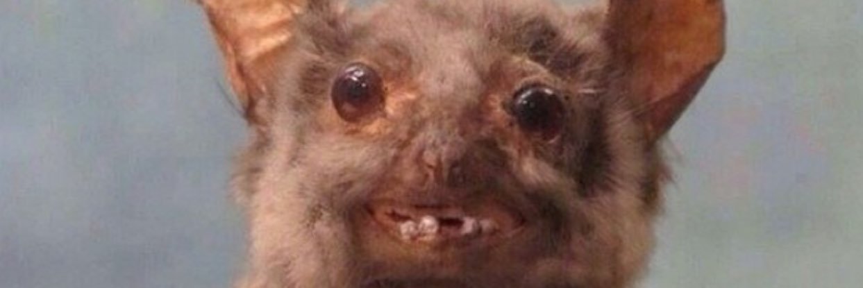 pimpster_mark's profile banner image