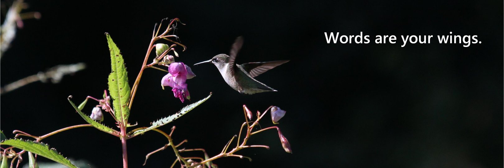 slate_q's profile banner image