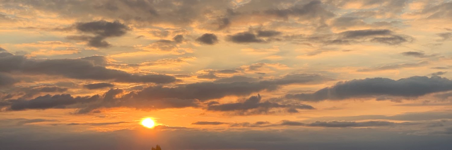 julieebny's profile banner image