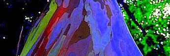 Lunainkaello2's profile banner image