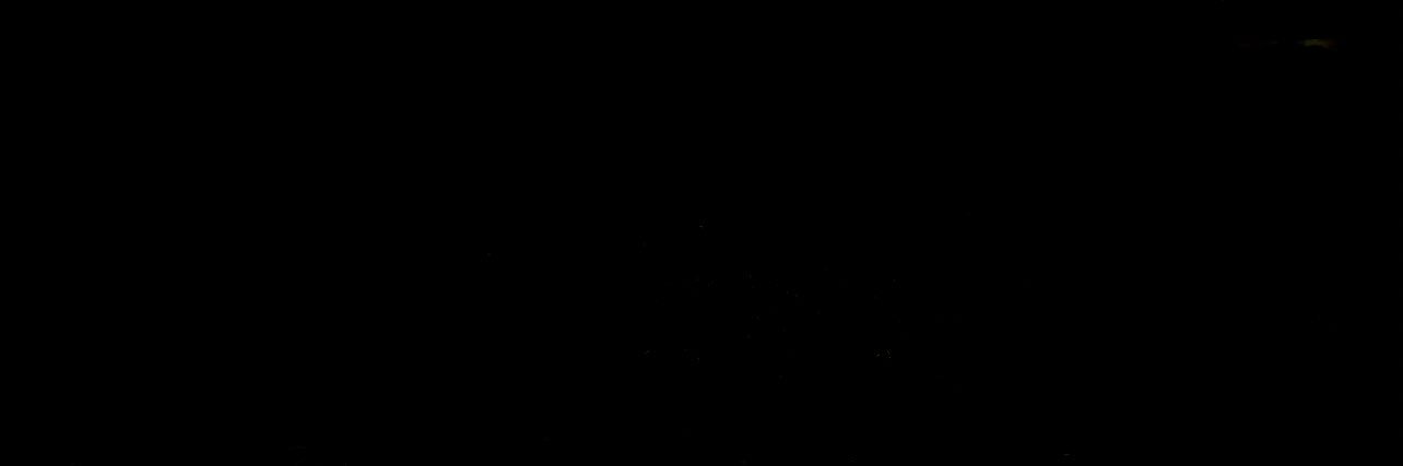 elyoyi01's profile banner image