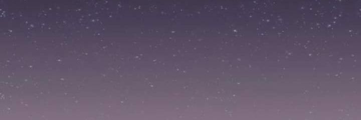 theduckyyyyyy's profile banner image