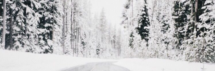 trinn_05's profile banner image