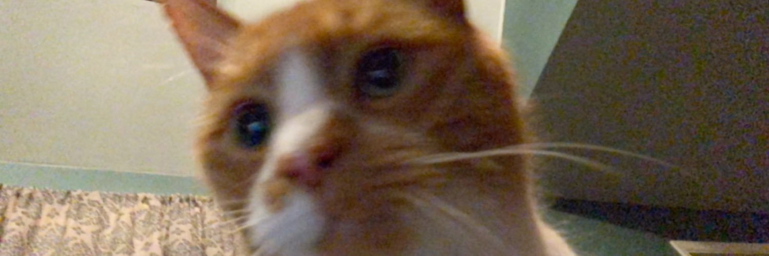 reed4506's profile banner image