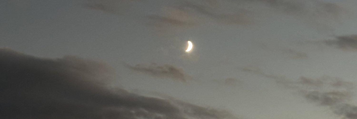 Melissa Gepfrey banner