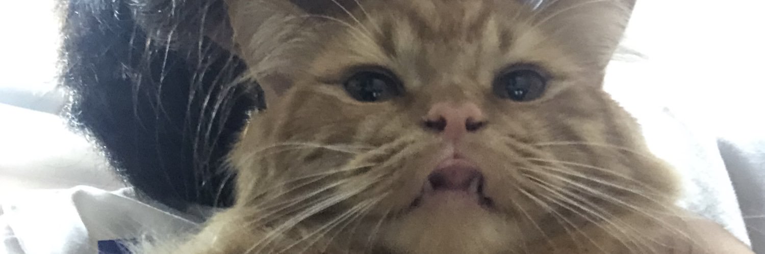 annaaatomyy's profile banner image