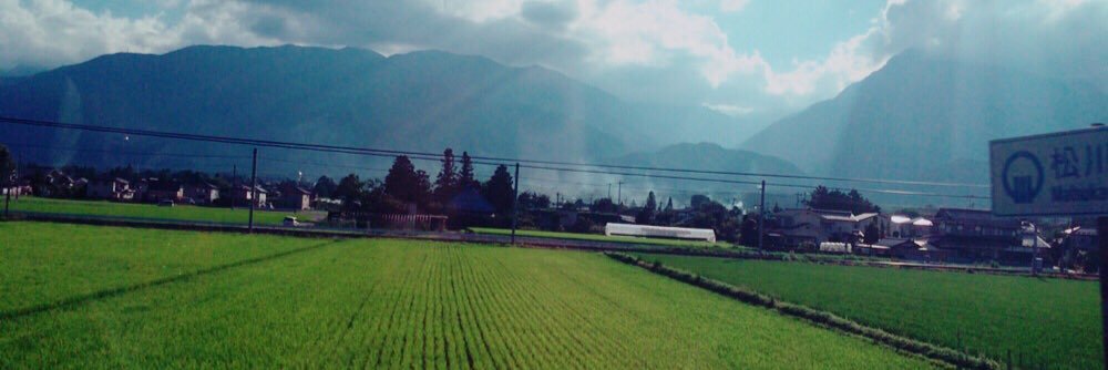 osikkooppai's profile banner image