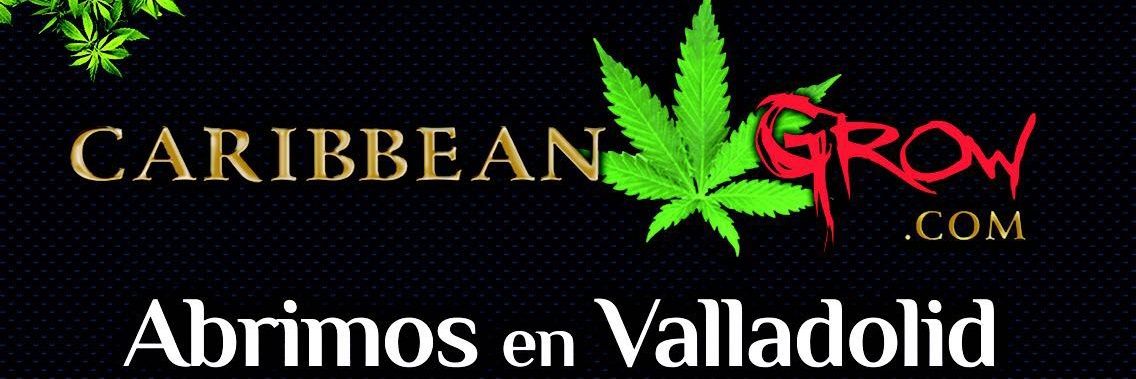CaribbeanGrow's profile banner image
