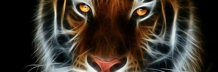 Dhaval_mony's profile banner image