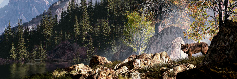 Carnilove's profile banner image