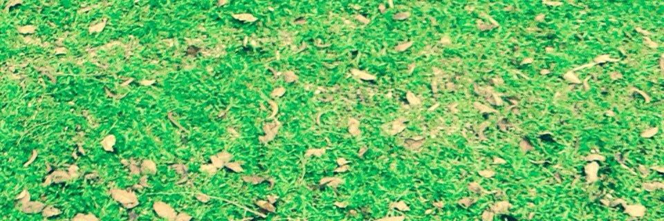 trazmn's profile banner image