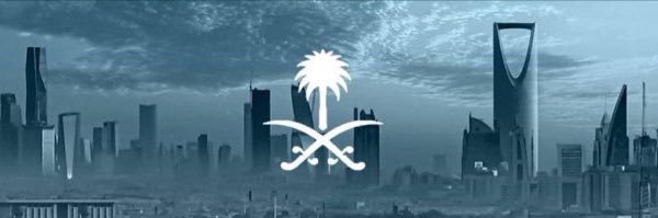 RashaRdadi's profile banner image