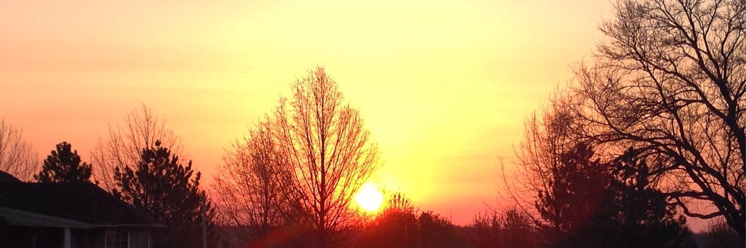 steph_risinger's profile banner image
