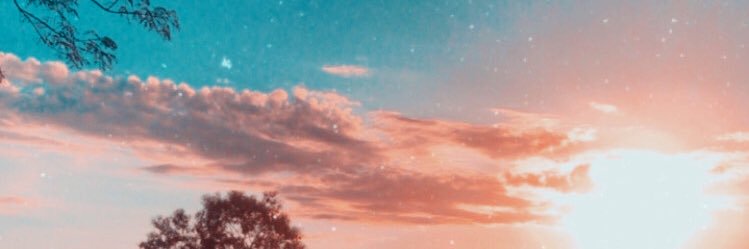 ConstanzaCheq's profile banner image
