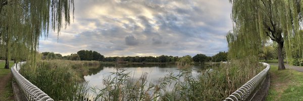 Niratama Profile Banner