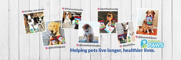 particularpaws Profile Banner