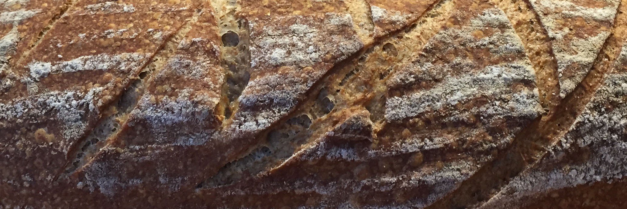 BearBreadBath's profile banner image