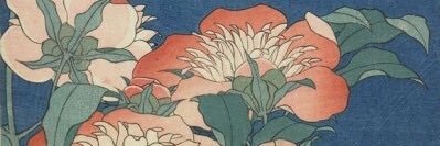 adam. banner
