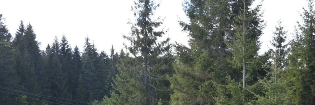 cerovicm10's profile banner image