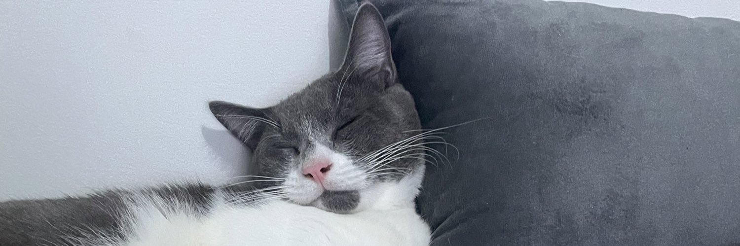eipapito's profile banner image