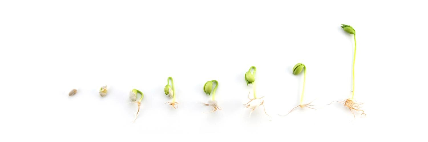 SeedEIS's profile banner image