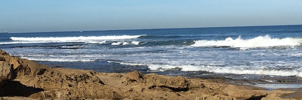 A/Prof Jacqui Macdonald banner