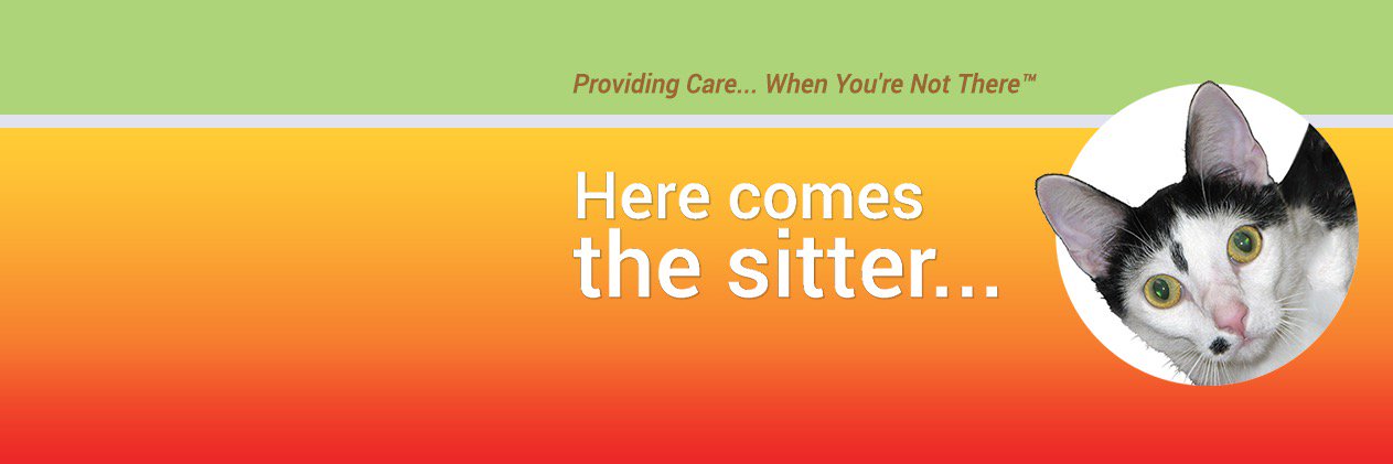 KittenSittin's profile banner image