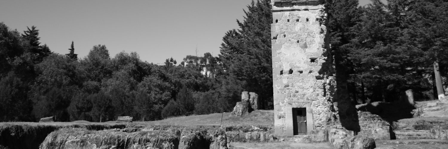 Tensegridad Ávila banner