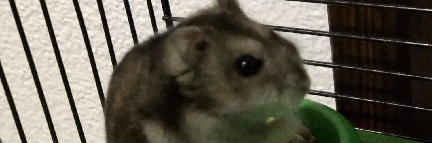Seb banner