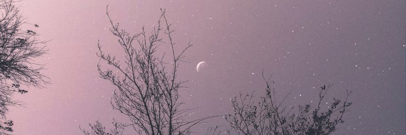 gilinskypose's profile banner image