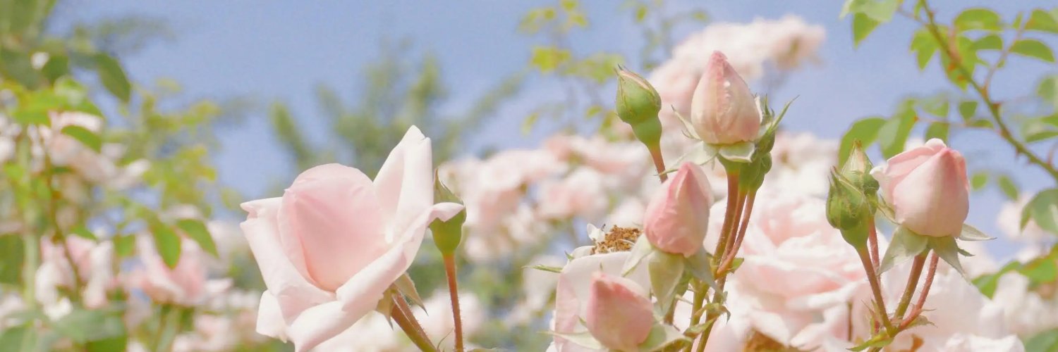 zack_wu159's profile banner image