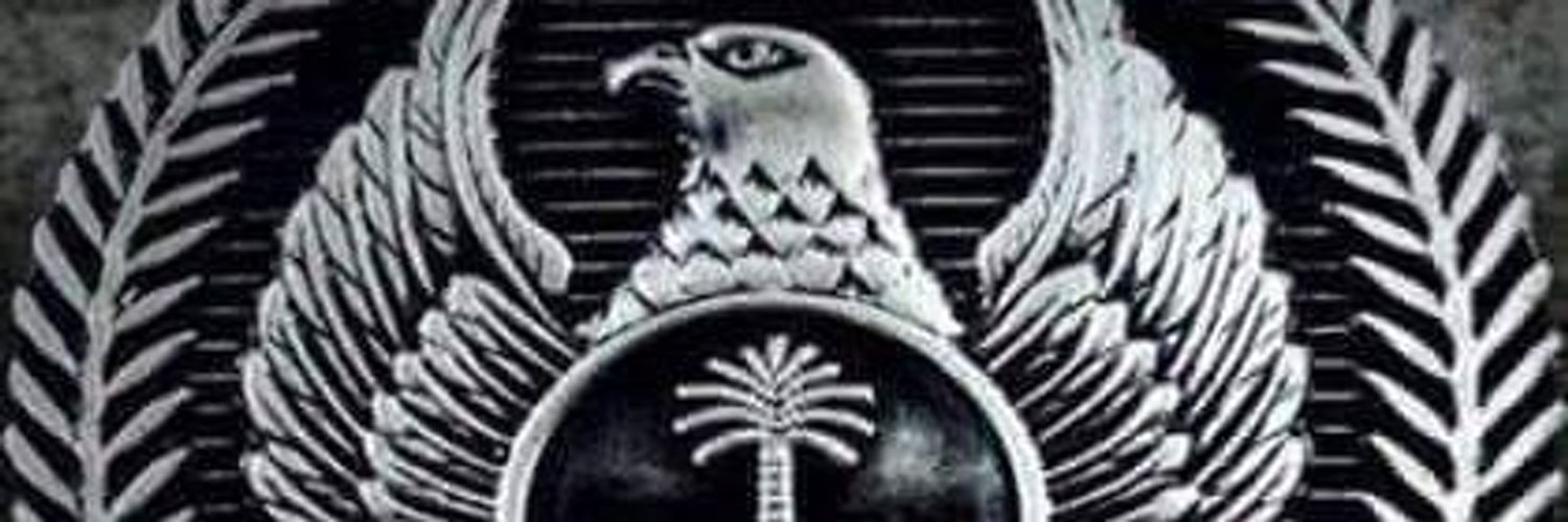 al_masrhy banner