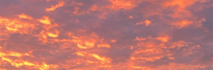 _sarahkoehler's profile banner image