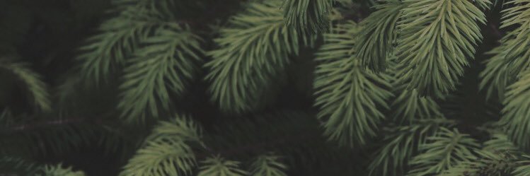 boyinhouseelmo's profile banner image